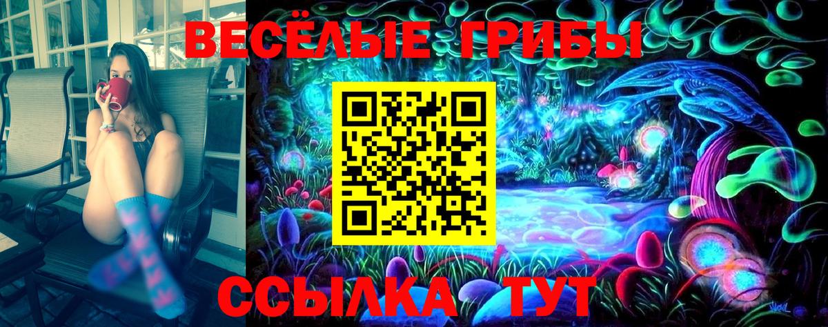 Галлюциногенные грибы прущие грибы  Вход с VPN  Самара 